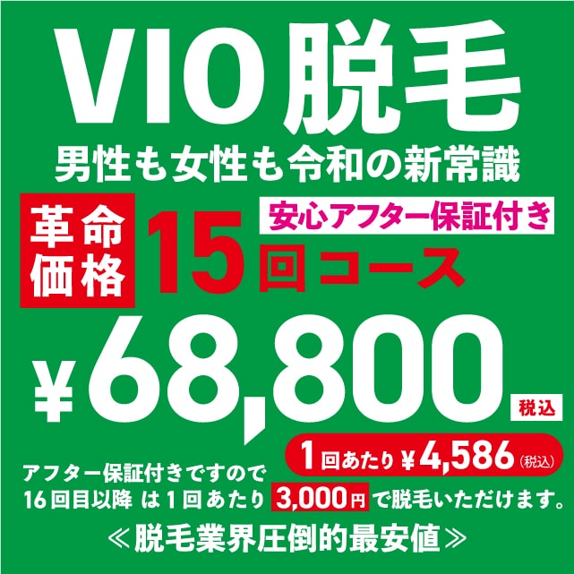 VIO脱毛 15回コース ¥68,800円(税込)